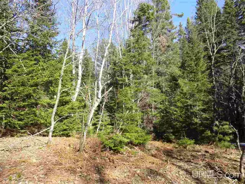 20 Acres Red, Ishpeming, MI 49849 photo 10