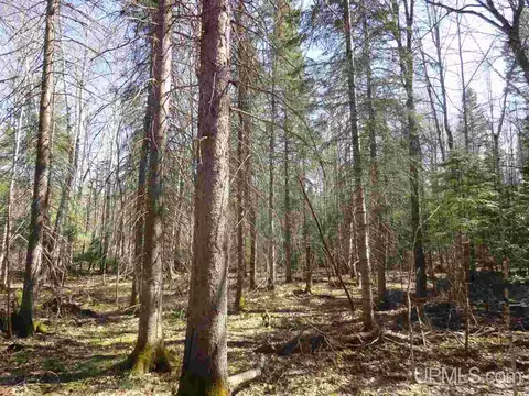 20 Acres Red, Ishpeming, MI 49849 photo 5