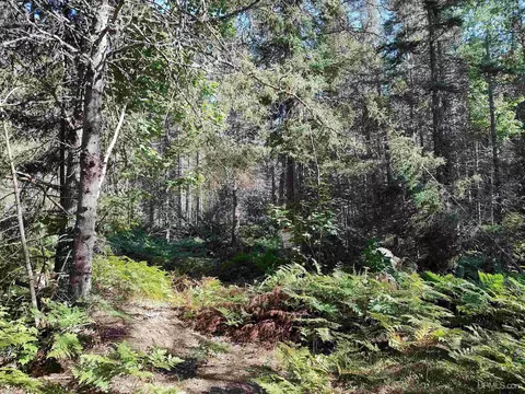 20 Acres Red, Ishpeming, MI 49849 photo 34