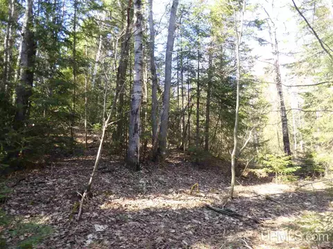 20 Acres Red, Ishpeming, MI 49849 photo 16
