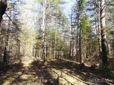 20 Acres Red, Ishpeming, MI 49849 photo 19