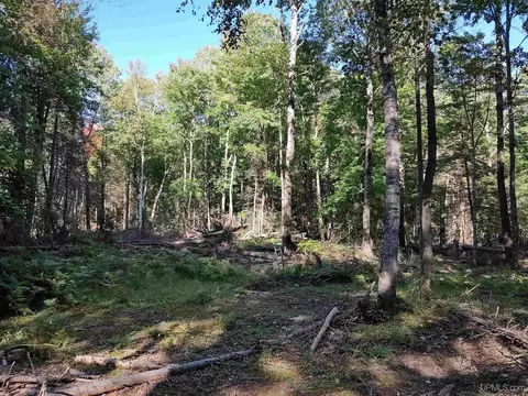 20 Acres Red, Ishpeming, MI 49849 photo 25