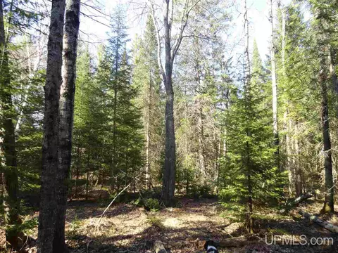 20 Acres Red, Ishpeming, MI 49849 photo 15