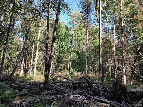 20 Acres Red, Ishpeming, MI 49849 photo 26