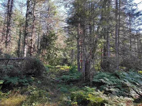 20 Acres Red, Ishpeming, MI 49849 photo 37