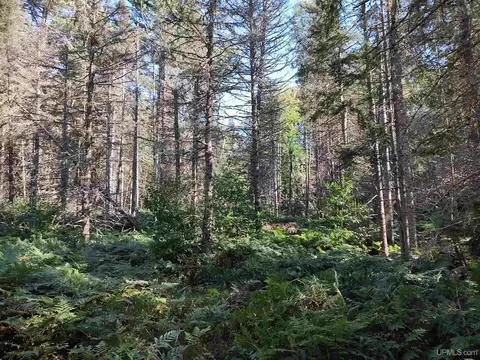 20 Acres Red, Ishpeming, MI 49849 photo 33