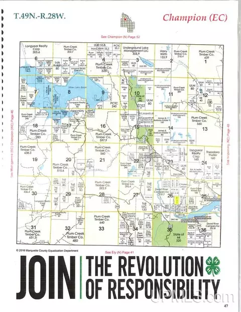 20 Acres Red, Ishpeming, MI 49849 photo 21
