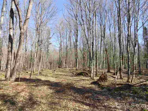 20 Acres Red, Ishpeming, MI 49849