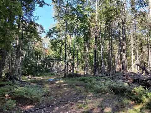 20 Acres Red, Ishpeming, MI 49849 photo 27