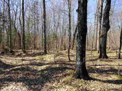 20 Acres Red, Ishpeming, MI 49849 photo 4