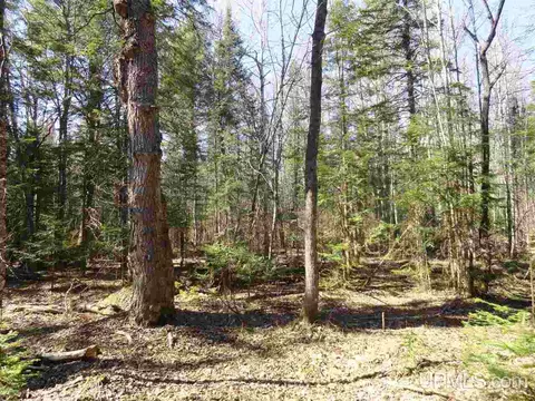 20 Acres Red, Ishpeming, MI 49849 photo 7
