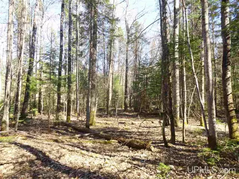 20 Acres Red, Ishpeming, MI 49849 photo 8