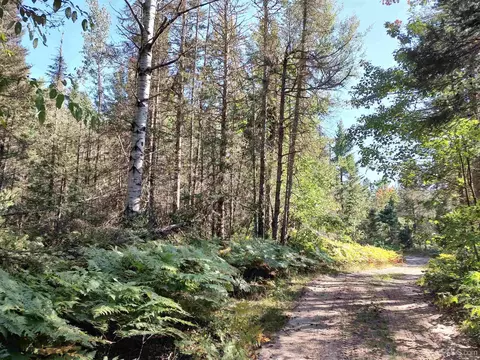 20 Acres Red, Ishpeming, MI 49849 photo 38