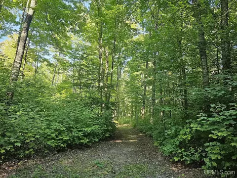 1749 W Edge, Germfask, MI 49836 photo 59
