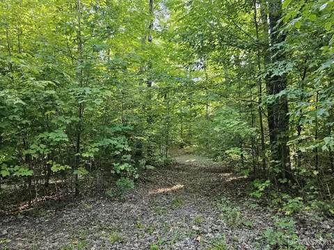 1749 W Edge, Germfask, MI 49836 photo 60