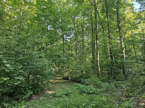 1749 W Edge, Germfask, MI 49836 photo 64