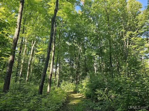 1749 W Edge, Germfask, MI 49836 photo 57