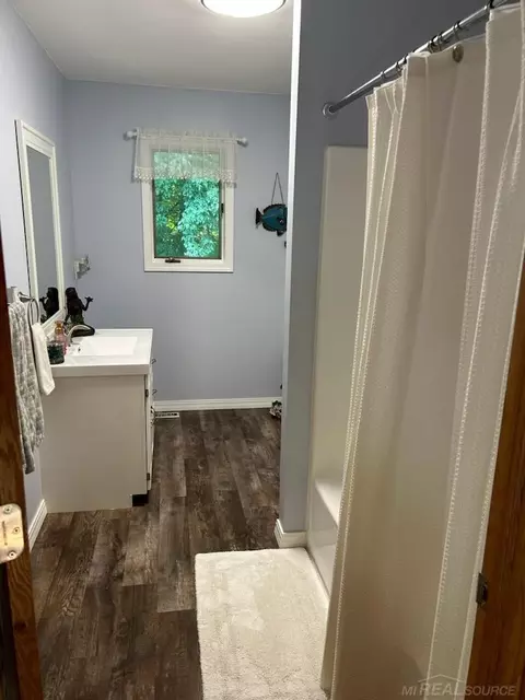 670 S Ely, Ithaca, MI 48847 photo 21