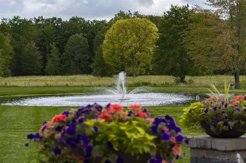 10215 Springborn, Casco, MI 48064 photo 44