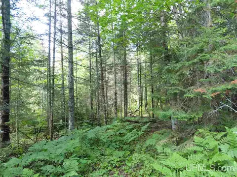 280 Acres Section 2, Rock, MI 49880 photo 32