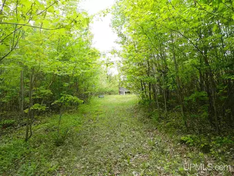 280 Acres Section 2, Rock, MI 49880 photo 11