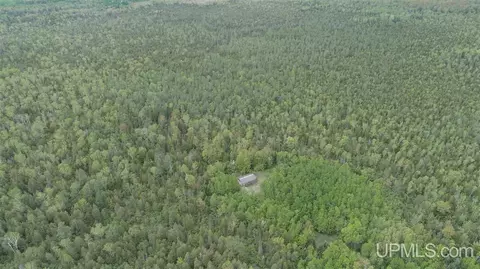 280 Acres Section 2, Rock, MI 49880 photo 5