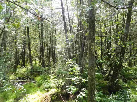 280 Acres Section 2, Rock, MI 49880 photo 28