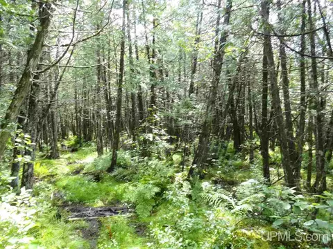 280 Acres Section 2, Rock, MI 49880 photo 30