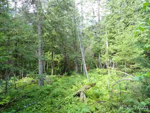 280 Acres Section 2, Rock, MI 49880 photo 31