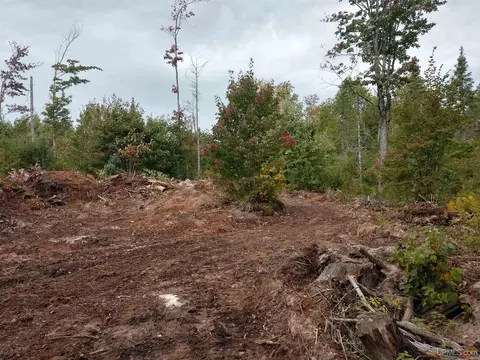 280 Acres Section 2, Rock, MI 49880 photo 35