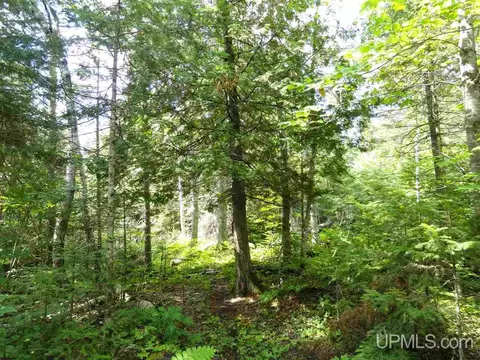 280 Acres Section 2, Rock, MI 49880 photo 33