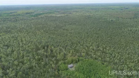 280 Acres Section 2, Rock, MI 49880 photo 4