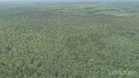 280 Acres Section 2, Rock, MI 49880 photo 3