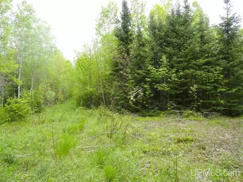 280 Acres Section 2, Rock, MI 49880 photo 10
