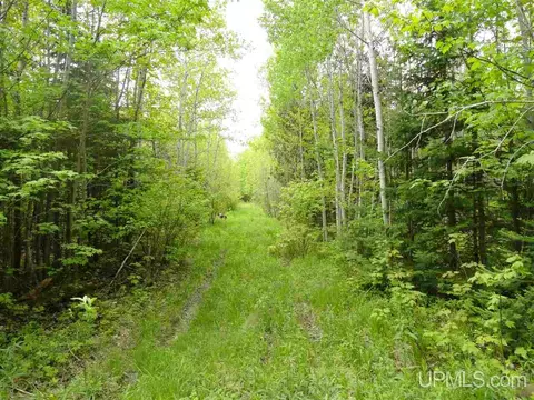 280 Acres Section 2, Rock, MI 49880 photo 8