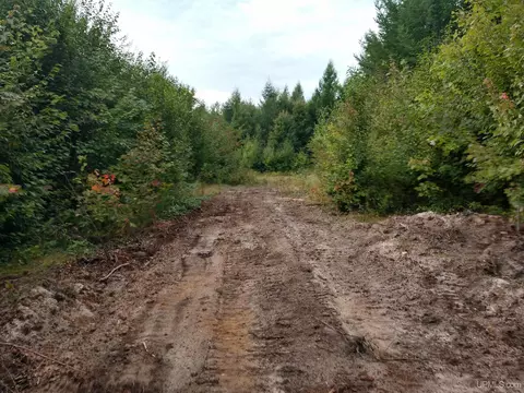 280 Acres Section 2, Rock, MI 49880 photo 37