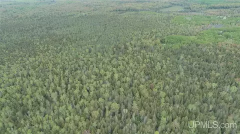 280 Acres Section 2, Rock, MI 49880 photo 6