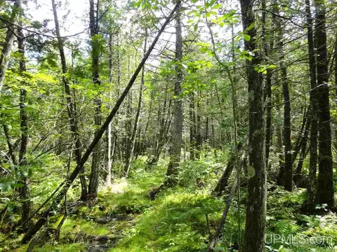 280 Acres Section 2, Rock, MI 49880 photo 29