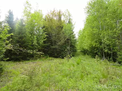 280 Acres Section 2, Rock, MI 49880 photo 9