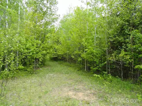 280 Acres Section 2, Rock, MI 49880 photo 13