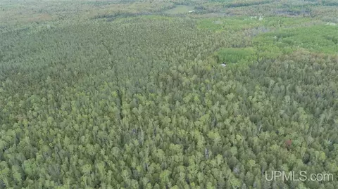 280 Acres Section 2, Rock, MI 49880 photo 7