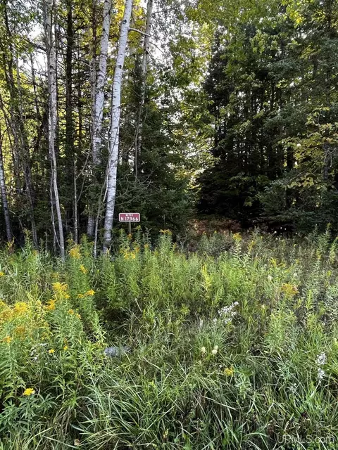N17966 R-3, Hermansville, MI 49874