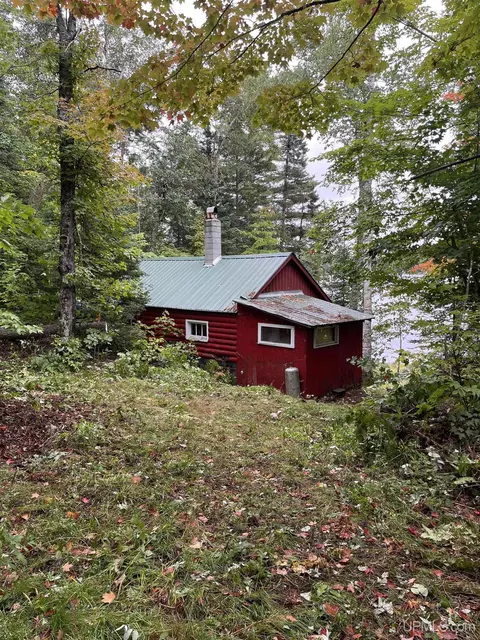 1223 N Arfelin Lk, Michigamme, MI 49861
