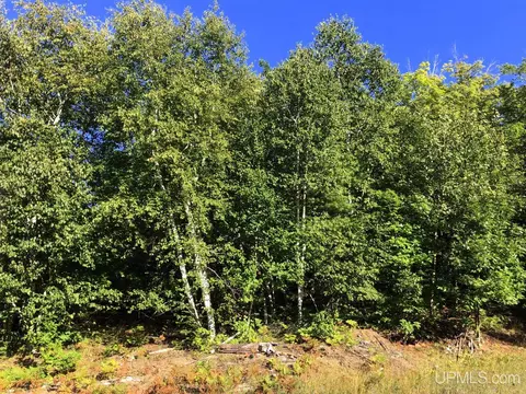 360 E Us41m28, Negaunee, MI 49866 photo 11