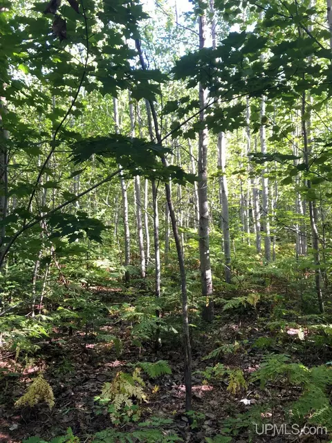 360 E Us41m28, Negaunee, MI 49866 photo 7