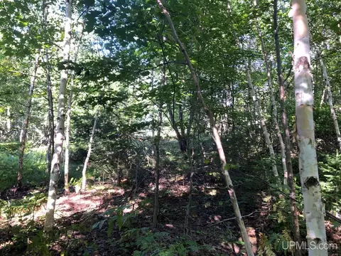 360 E Us41m28, Negaunee, MI 49866 photo 8