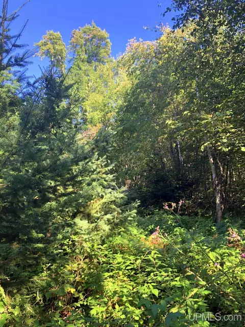 360 E Us41m28, Negaunee, MI 49866 photo 6