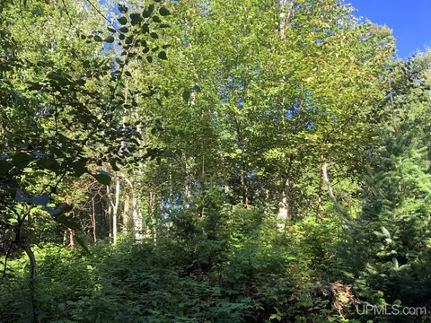 360 E Us41m28, Negaunee, MI 49866 photo 9