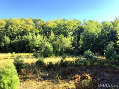 360 E Us41m28, Negaunee, MI 49866 photo 15