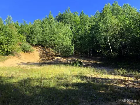 360 E Us41m28, Negaunee, MI 49866 photo 3